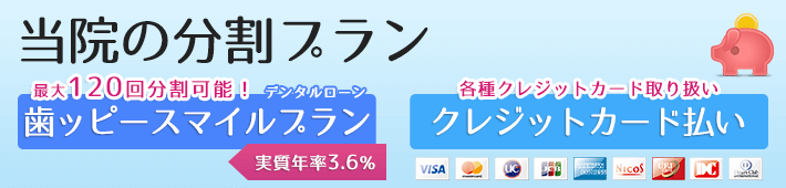 おサイフにやさしい料金プラン(分割払い・カード払い・デンタルローン)